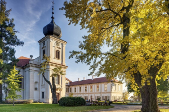 Pravidelné prohlídky